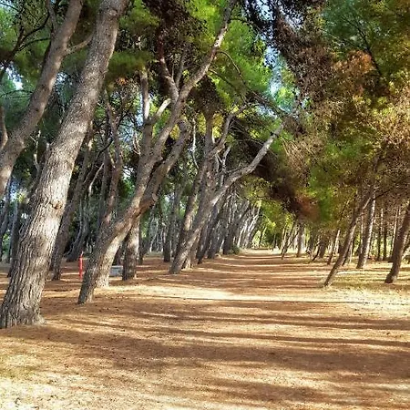 La Casa Del Capitano *